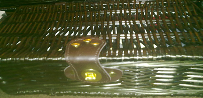 Hamper Party in the Henley Regatta Festival